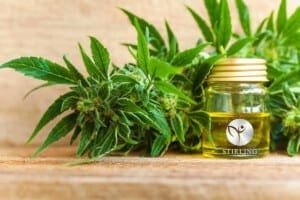 What is the Difference Between Delta 8, Delta 9 and CBD? 0