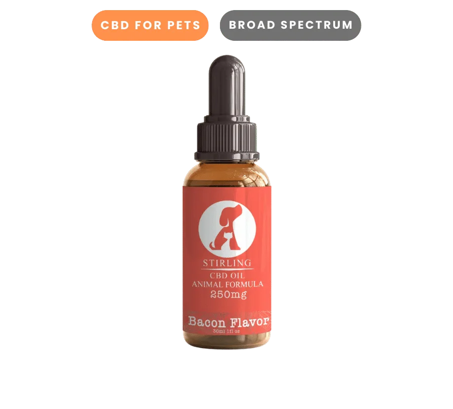 CBD Oil For Dogs