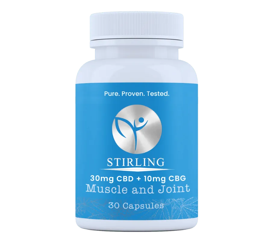 muscle and joint capsules