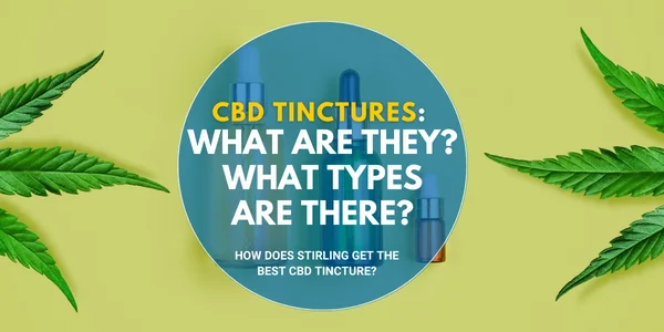 CBD Tinctures What are they What different types of CBD Tinctures are there