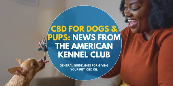 CBD for Dogs and Pups News from the American Kennel Club