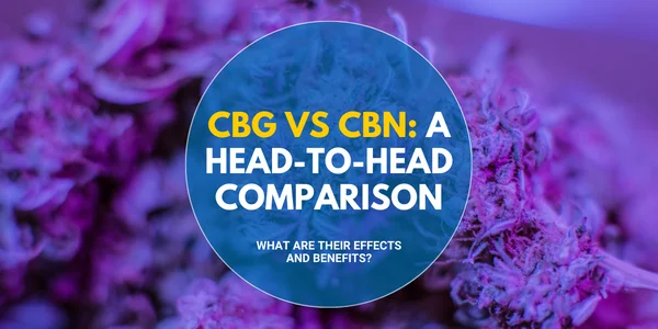 CBG VS CBN A Head to Head Comparison