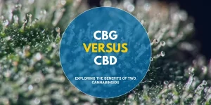 CBG vs CBD Exploring the Benefits of Two Cannabinoids