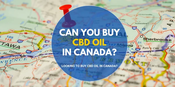 Can You Buy CBD Oil in Canada
