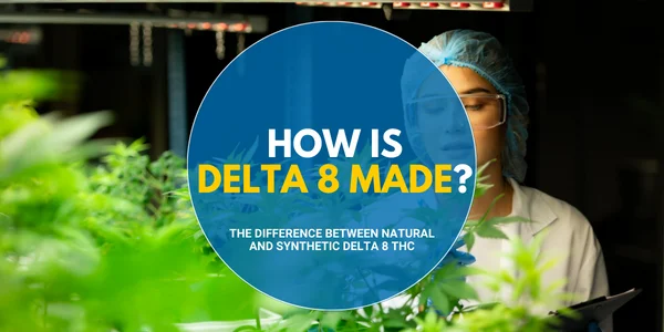 How Is Delta 8 Made