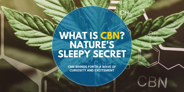 What is CBN Nature’s Sleepy Secret
