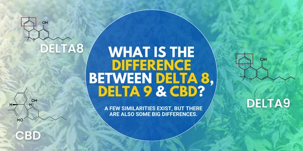 What is the Difference Between Delta 8, Delta 9 and CBD